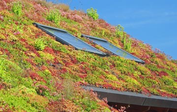 Upwood living roof systems